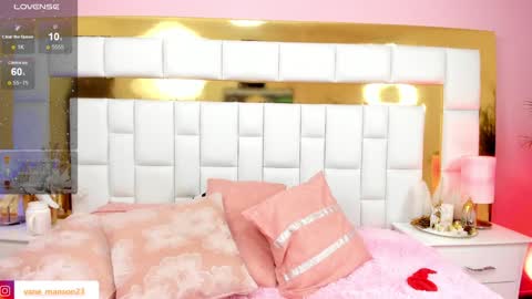 Snapshot of vane_manson chatting on 12-27-24, 04:21 vane_manson online show from 12-27-24, 04:21