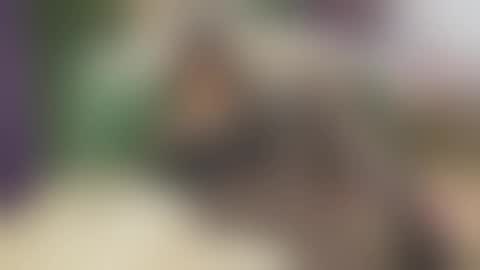 Snapshot of vanessajos chatting on 09-25-25, 06:06 Vanessa online show from 09-25-25, 06:06