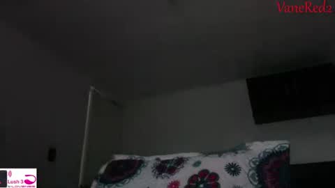 Snapshot of vanessared2 chatting on 09-14-25, 10:53 Vanesared2 online show from 09-14-25, 10:53