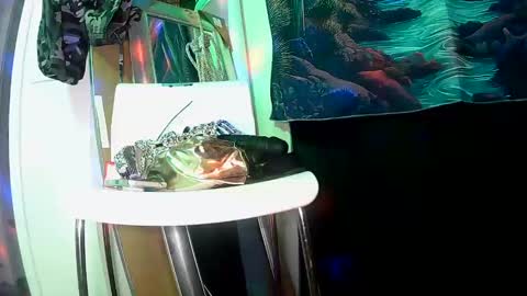 vegasmd online show from 02-27-25, 11:04