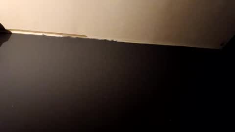 vegeto222 online show from 11-23-25, 02:39