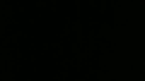 Amaia online show from 10-22-25, 12:16