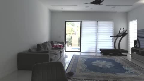 VelvetTGirl online show from 02-21-26, 03:24