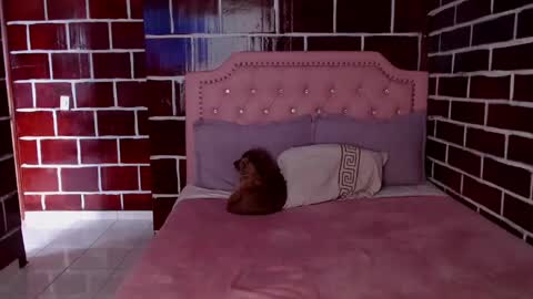 emily independent account  MY conextion 1100 GTM  to  17hr GTM online show from 03-08-25, 10:34