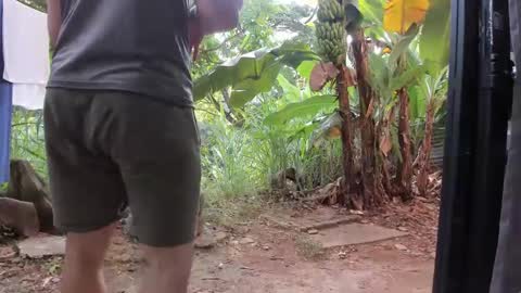 venus ... zeus sheer  online show from 01-20-25, 01:11