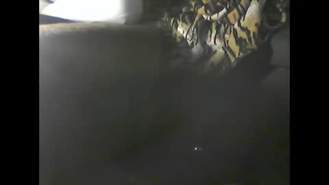 Im DanielVerdo  25 years old Lets have Fun and just ask what wanne know   tnew anal bigock cum  slave  fullnaked online show from 12-20-24, 02:52