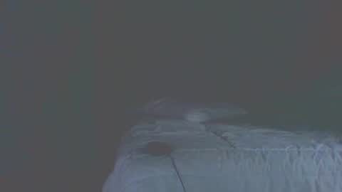 vergagolosa22 online show from 11-20-25, 07:02