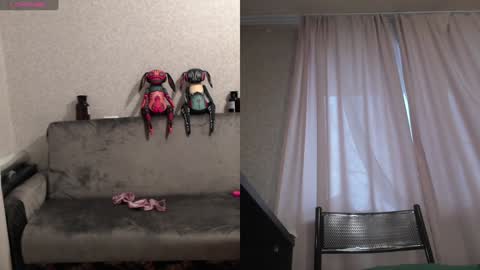 Sandra online show from 01-29-25, 08:29