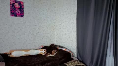 Veronica online show from 03-04-26, 09:10