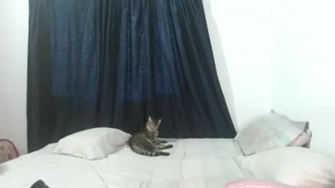 veronicagracia2531 online show from 11-17-25, 09:09