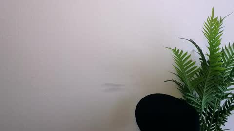 Snapshot of veryveryshygirl chatting on 03-12-26, 01:06 Ana online show from 03-12-26, 01:06