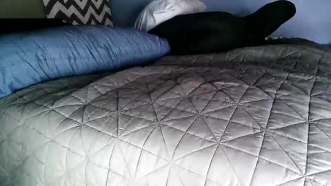 Snapshot of vexnew chatting on 11-02-25, 08:00 Vexnew online show from 11-02-25, 08:00