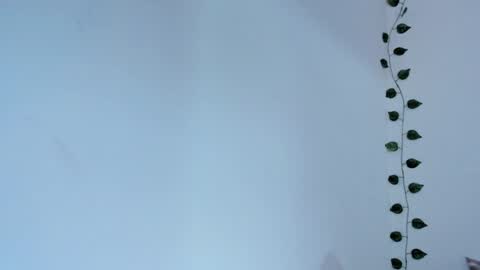Snapshot of vianka_millerxxx chatting on 01-27-25, 12:05 Vianka online show from 01-27-25, 12:05