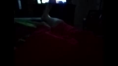 Snapshot of viciouzz1 chatting on 11-11-25, 11:27 viciouzz1 online show from 11-11-25, 11:27