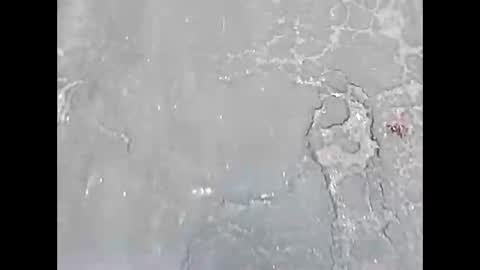 Snapshot of viciouzz1 chatting on 11-24-25, 07:02 viciouzz1 online show from 11-24-25, 07:02