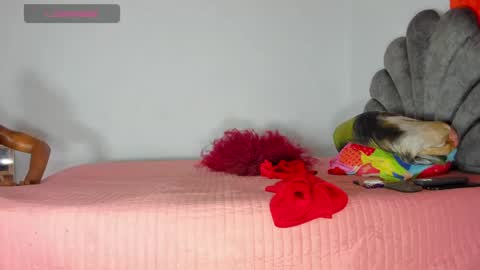 vicky manuela online show from 05-01-26, 08:30
