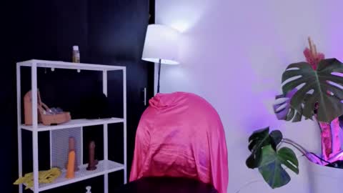 Vicky Greys online show from 11-27-25, 08:44