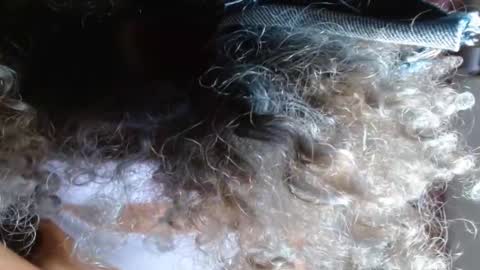 VICKY online show from 02-14-25, 03:54