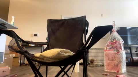 victoryd007 online show from 02-22-25, 07:25