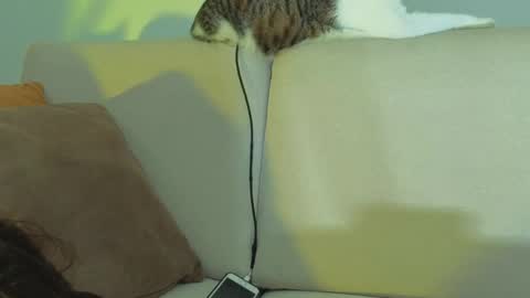 Snapshot of viiolet_collins chatting on 05-27-26, 02:08 VIOLET online show from 05-27-26, 02:08