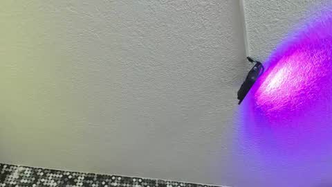 Viiolett online show from 09-17-25, 04:19