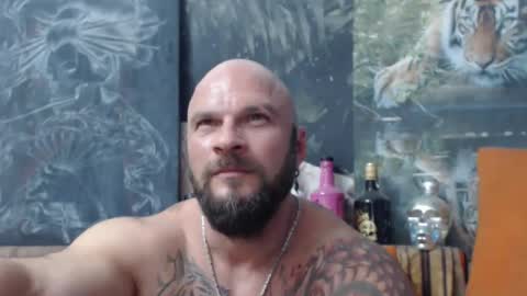 Snapshot of viking_me chatting on 09-15-25, 06:41 viking online show from 09-15-25, 06:41