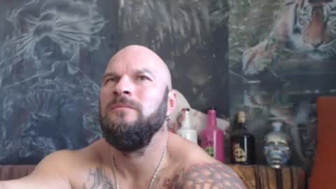 Snapshot of viking_me chatting on 10-25-25, 07:49 viking online show from 10-25-25, 07:49