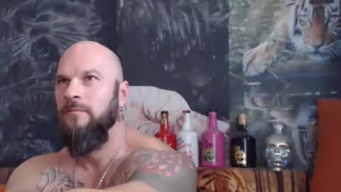 Snapshot of viking_me chatting on 11-04-25, 08:02 viking online show from 11-04-25, 08:02