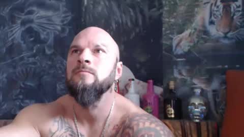 Snapshot of viking_me chatting on 11-11-25, 08:14 viking online show from 11-11-25, 08:14