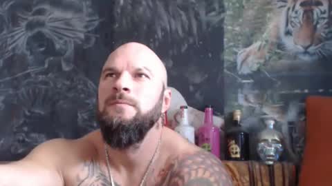 Snapshot of viking_me chatting on 11-18-25, 07:46 viking online show from 11-18-25, 07:46