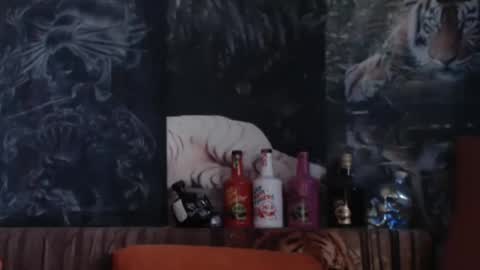 Snapshot of viking_me chatting on 12-14-25, 08:41 viking online show from 12-14-25, 08:41