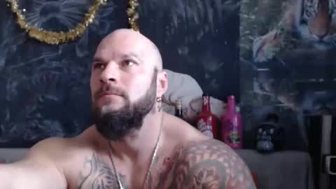 viking online show from 02-01-26, 08:02