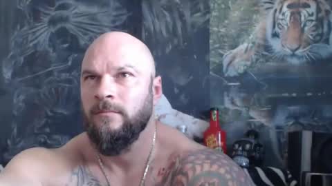 viking online show from 04-20-26, 06:16