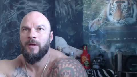 viking online show from 04-23-26, 06:58