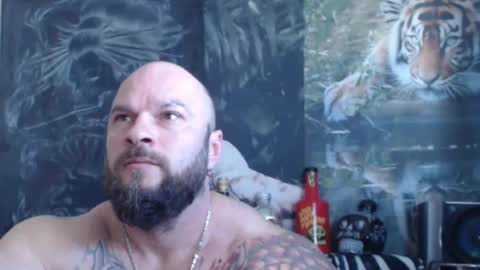 viking online show from 04-26-26, 06:33