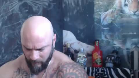 viking online show from 04-28-26, 06:40