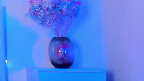 Snapshot of vikkilustfull chatting on 01-29-25, 07:11 VIKKI online show from 01-29-25, 07:11