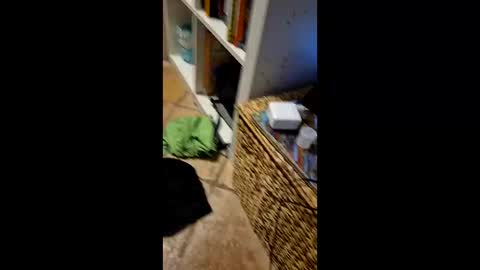 Vinz online show from 03-11-26, 02:17