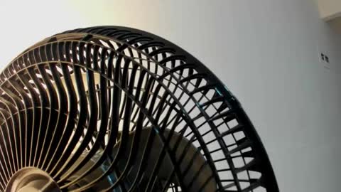 Violet Rose online show from 01-05-26, 08:12