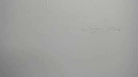 Snapshot of violett_24_ chatting on 03-01-25, 11:39 violett_24_ online show from 03-01-25, 11:39