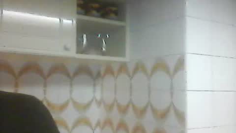 Snapshot of virgomandel chatting on 02-06-26, 06:40 virgomandel online show from 02-06-26, 06:40