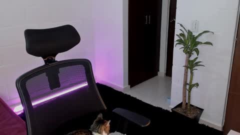 Snapshot of virtual111_ chatting on 03-05-25, 12:27 Lu online show from 03-05-25, 12:27