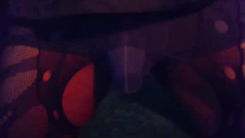 vitaminhard58 online show from 02-11-26, 06:02