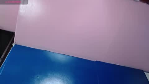 Snapshot of vitoria23_ chatting on 11-18-25, 01:59 victoria 3 online show from 11-18-25, 01:59