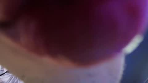    new acount online show from 05-29-26, 03:43