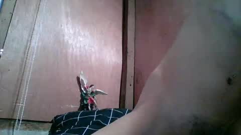 kim online show from 02-10-26, 10:47