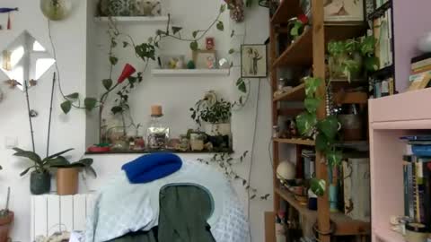 Viv online show from 12-03-24, 09:33