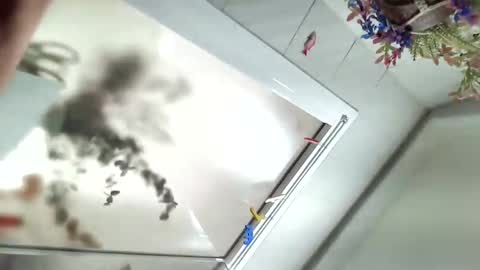 Viv online show from 12-06-24, 11:54