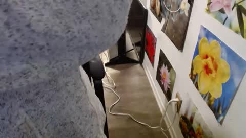 Snapshot of vixenfyre chatting on 12-12-24, 05:59 Vixen Fyre online show from 12-12-24, 05:59