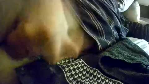 Snapshot of vleeslollie2024 chatting on 01-13-25, 07:21 vleeslollie2024 online show from 01-13-25, 07:21